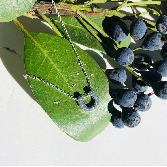 NWT 925 Sterling Silver Dainty Horseshoe Necklace - Picture 4 of 5